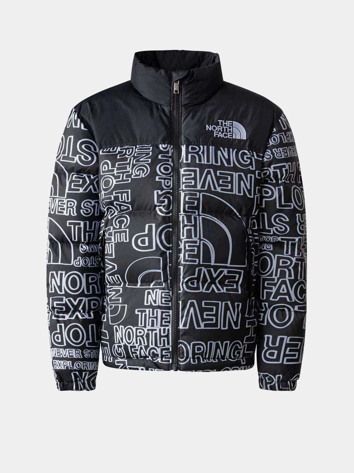 Куртки и дубленки The North Face 1996 Retro Nuptse модель NF0A82UDORI1 Фото