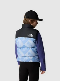 Куртки и дубленки The North Face 1996 RETRO NUPTSE модель NF0A82WXO3I1 Фото
