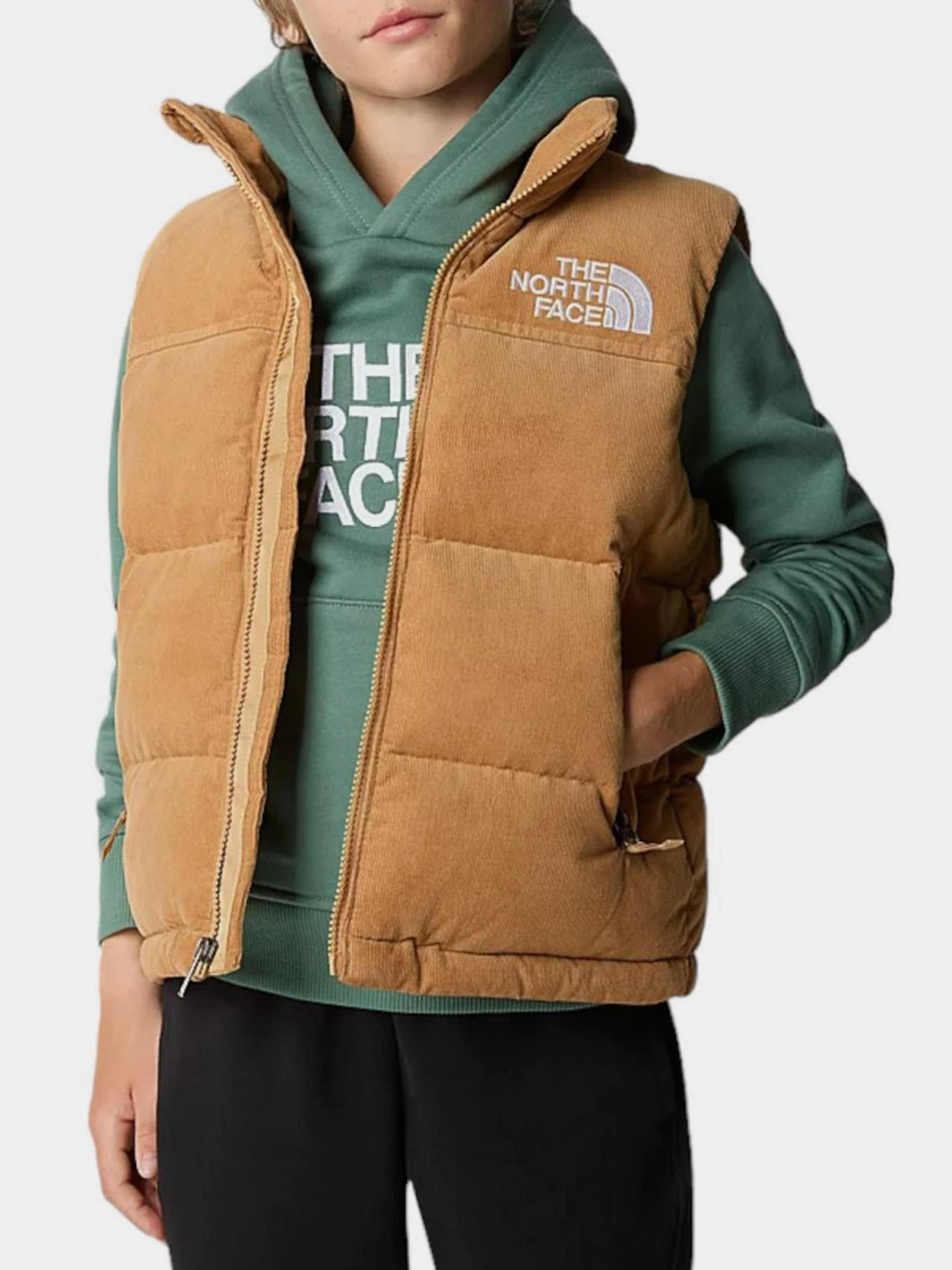 Куртки и дубленки The North Face 1996 Retro Nuptse модель NF0A82WXI0J1 Куртки и дубленки The North Face 1996 Retro Nuptse модель NF0A82WXI0J1 Фото
