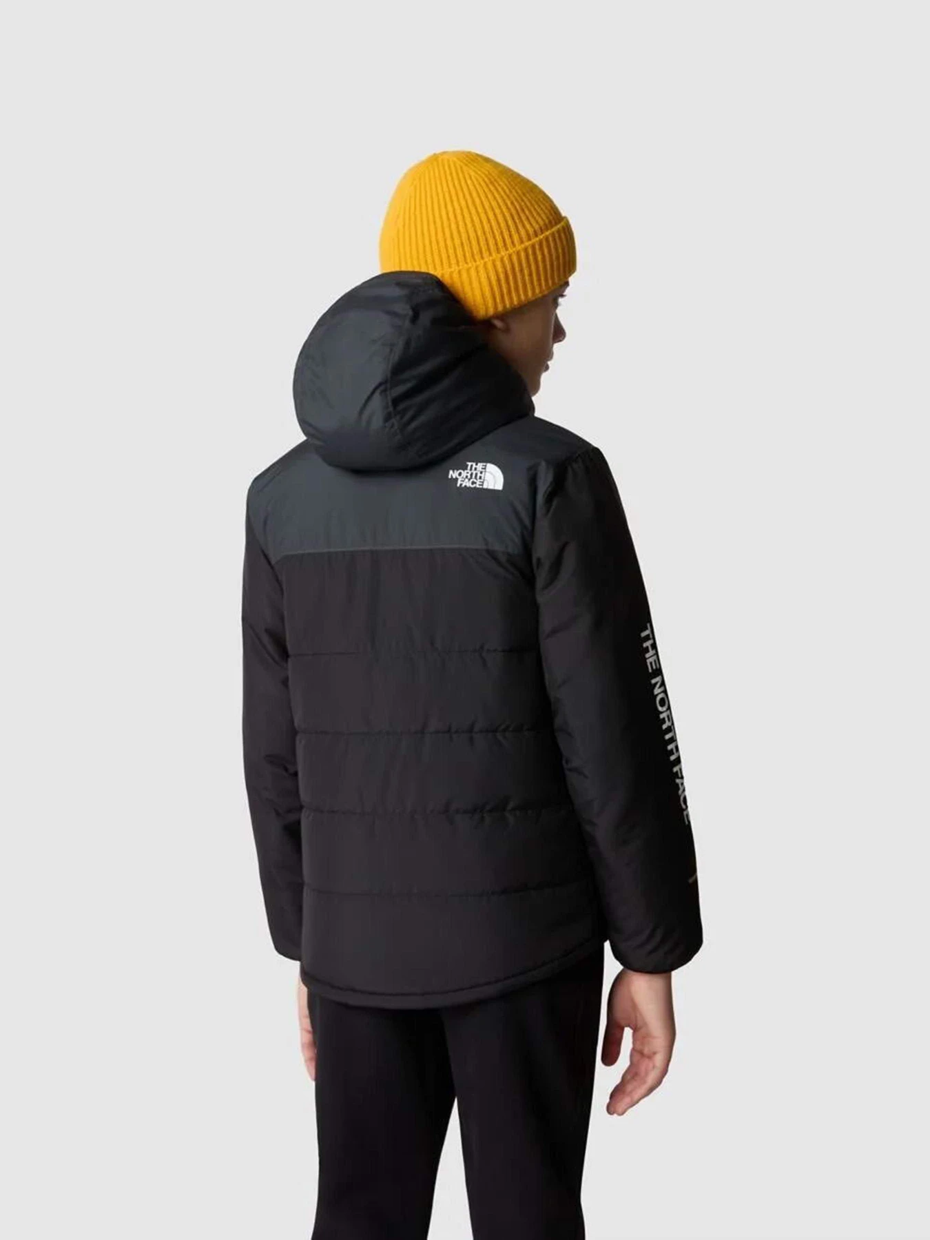 Куртки та дублянки The North Face Never Stop Synthetic модель NF0A85570C51 Фото