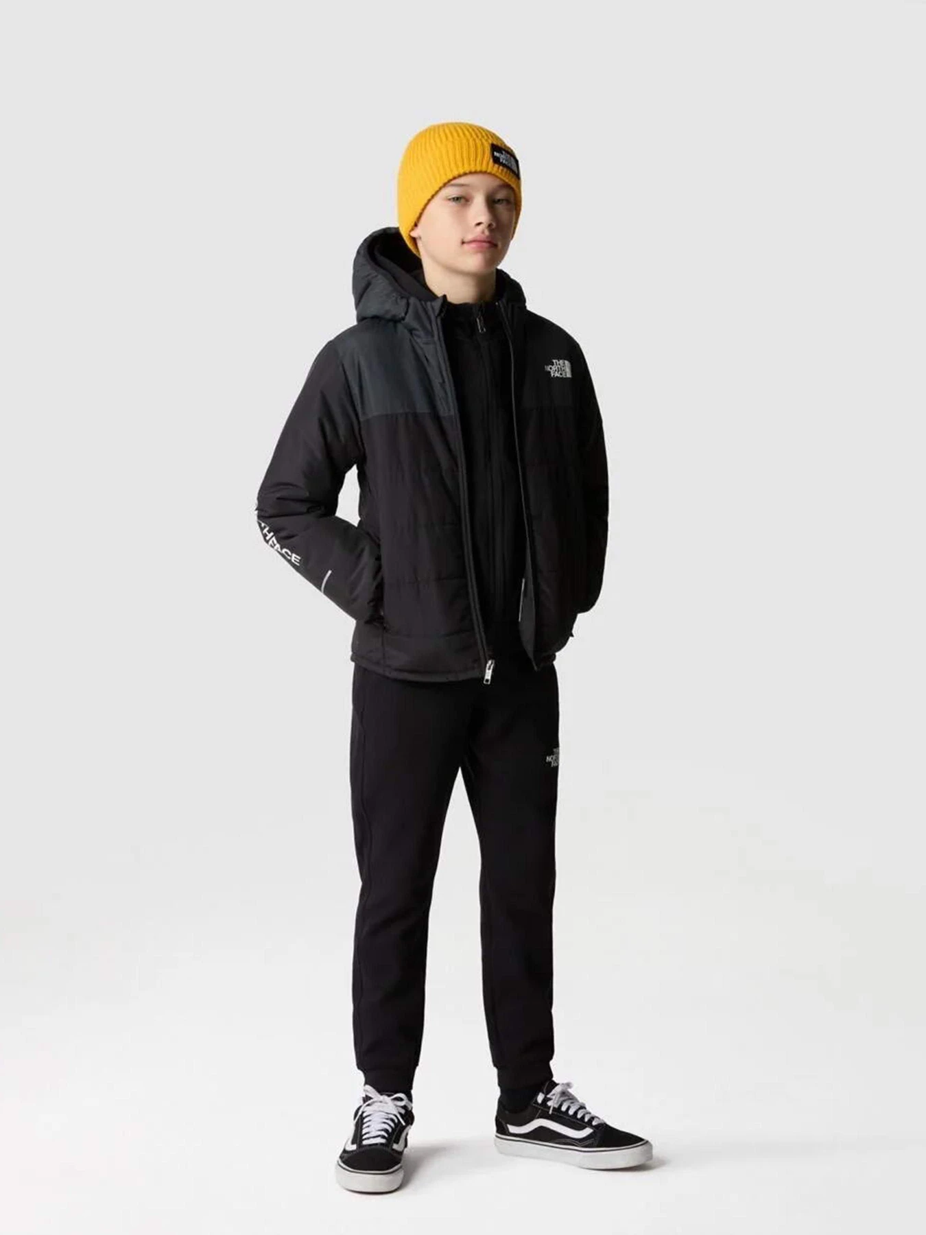 Куртки та дублянки The North Face Never Stop Synthetic модель NF0A85570C51 Фото