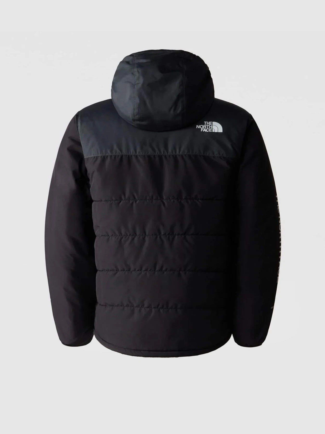 Куртки та дублянки The North Face Never Stop Synthetic модель NF0A85570C51 Фото