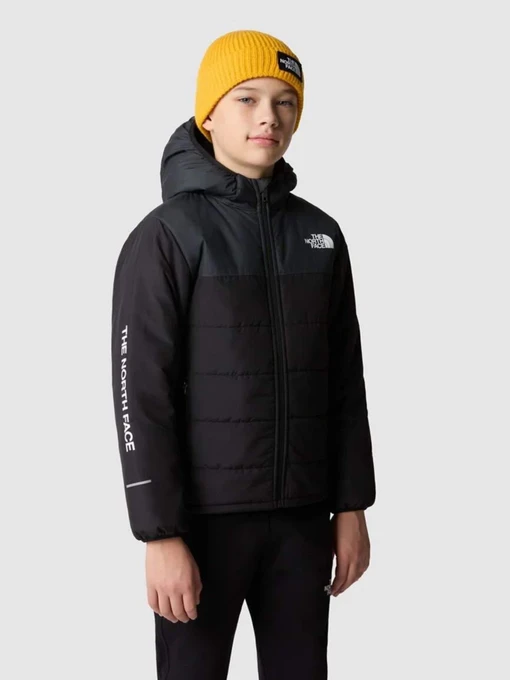 Куртки та дублянки The North Face Never Stop Synthetic модель NF0A85570C51 Фото