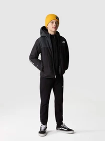 Куртки та дублянки The North Face Never Stop Synthetic модель NF0A85570C51 Фото