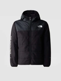 Куртки та дублянки The North Face Never Stop Synthetic модель NF0A85570C51 Фото