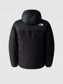 Куртки та дублянки The North Face Never Stop Synthetic модель NF0A85570C51 Фото
