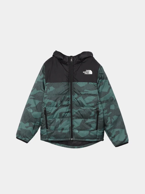 Куртки та дублянки The North Face Never Stop Synthetic модель NF0A8557O2V1 Фото