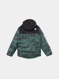 Куртки та дублянки The North Face Never Stop Synthetic модель NF0A8557O2V1 Фото