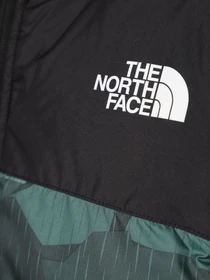 Куртки та дублянки The North Face Never Stop Synthetic модель NF0A8557O2V1 Фото