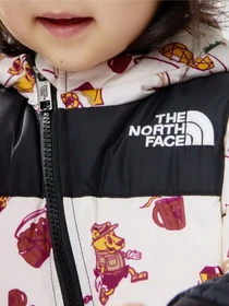 Комбинезоны The North Face 1996 Retro Nuptse One-Piece модель NF0A7WPFOOZ1 Фото