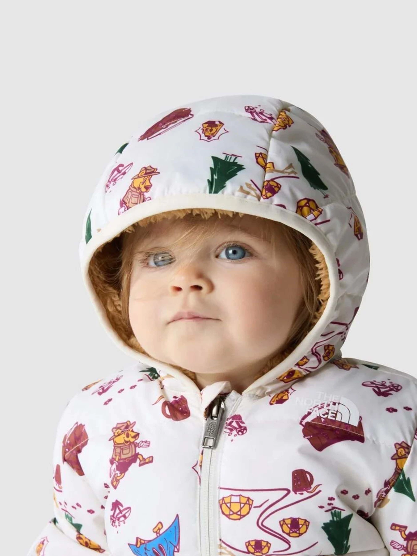 Куртки и дубленки The North Face North Down Hooded модель NF0A7UMKOOZ1 Куртки и дубленки The North Face North Down Hooded модель NF0A7UMKOOZ1 Фото