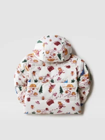Куртки и дубленки The North Face North Down Hooded модель NF0A7UMKOOZ1 Фото
