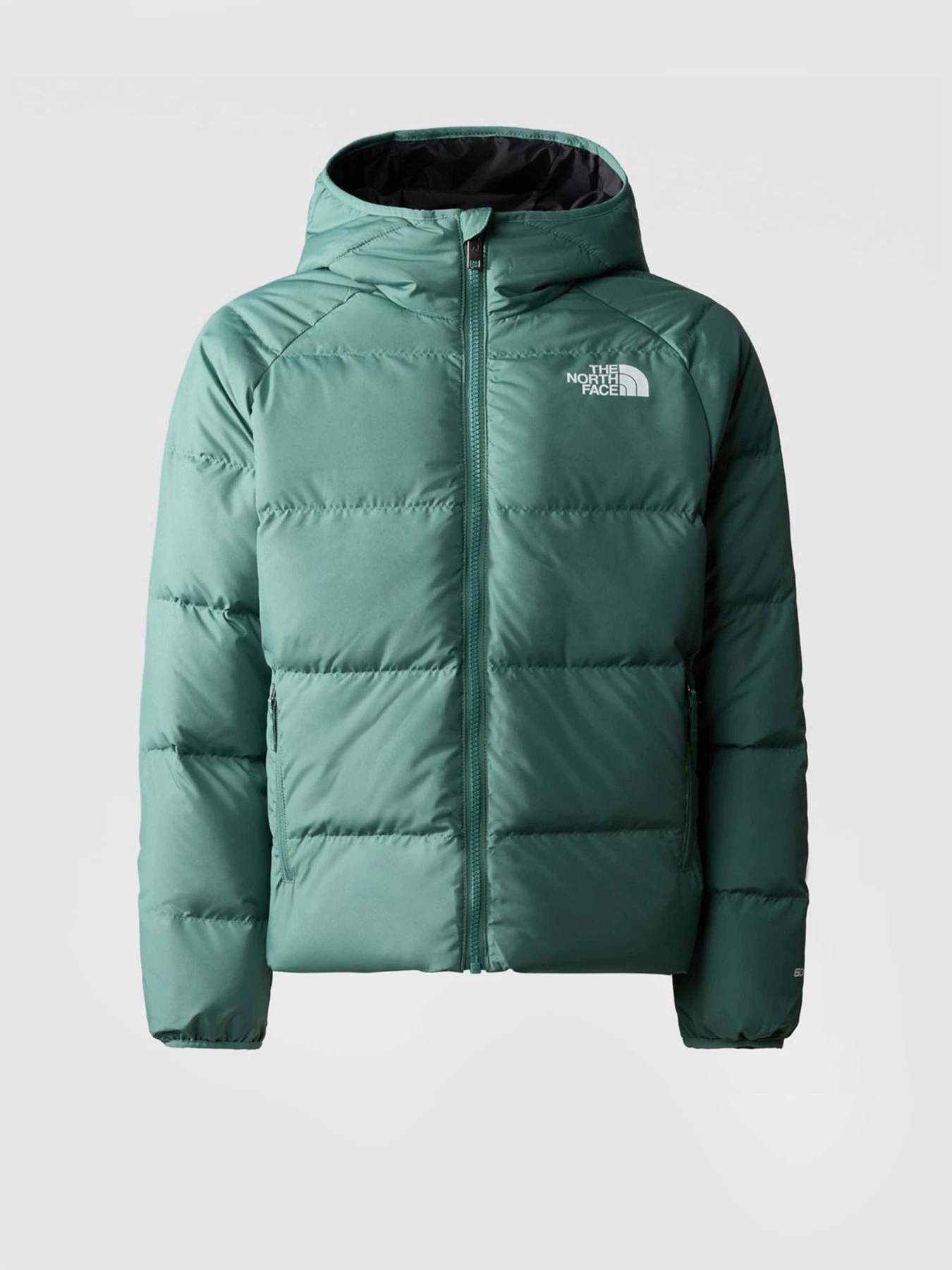 Куртки та дублянки The North Face REVERSIBLE NORTH модель NF0A82XZI0F1 Куртки та дублянки The North Face REVERSIBLE NORTH модель NF0A82XZI0F1 Фото