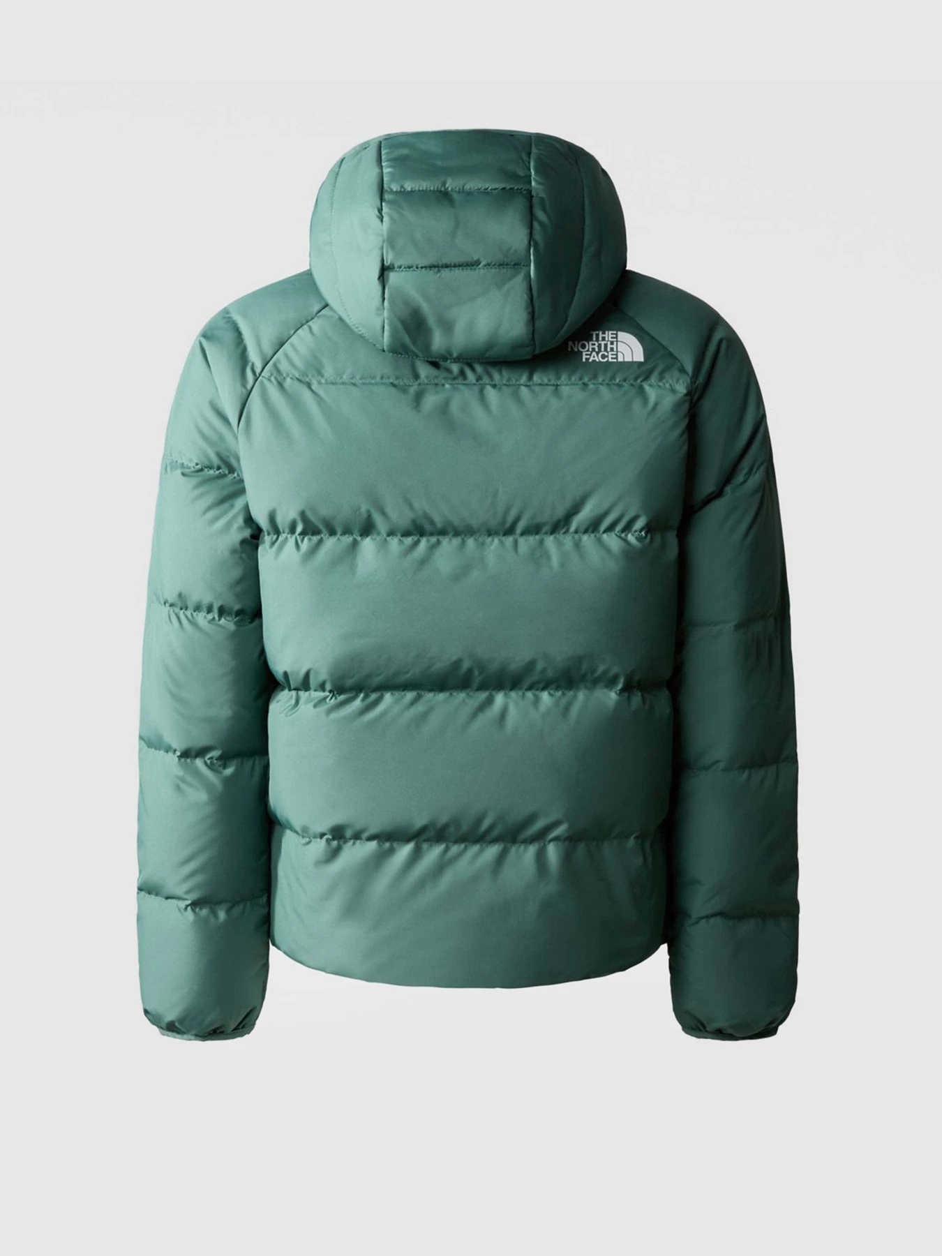 Куртки та дублянки The North Face REVERSIBLE NORTH модель NF0A82XZI0F1 Куртки та дублянки The North Face REVERSIBLE NORTH модель NF0A82XZI0F1 Фото