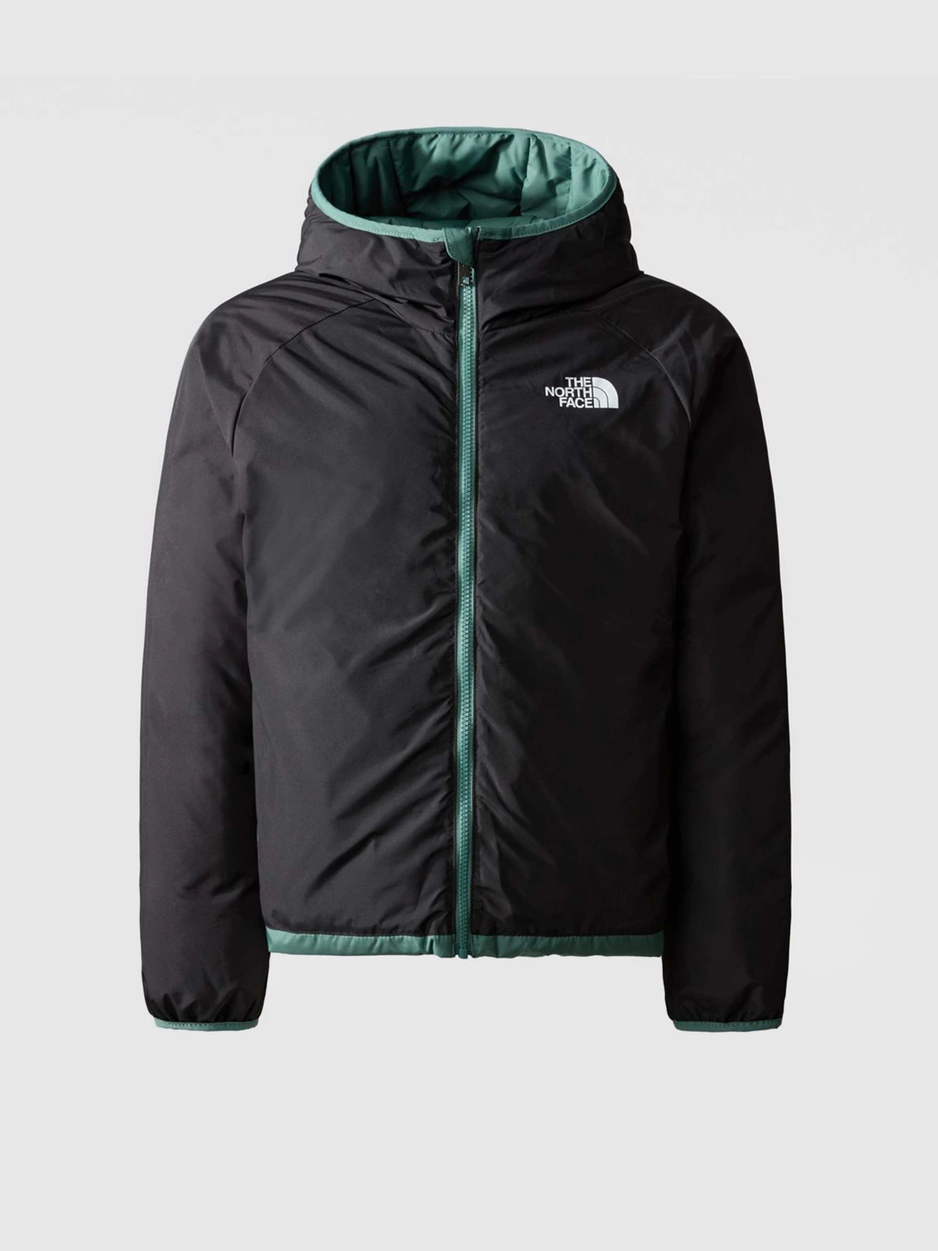 Куртки та дублянки The North Face REVERSIBLE NORTH модель NF0A82XZI0F1 Куртки та дублянки The North Face REVERSIBLE NORTH модель NF0A82XZI0F1 Фото