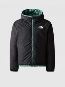 Куртки та дублянки The North Face REVERSIBLE NORTH модель NF0A82XZI0F1 Фото