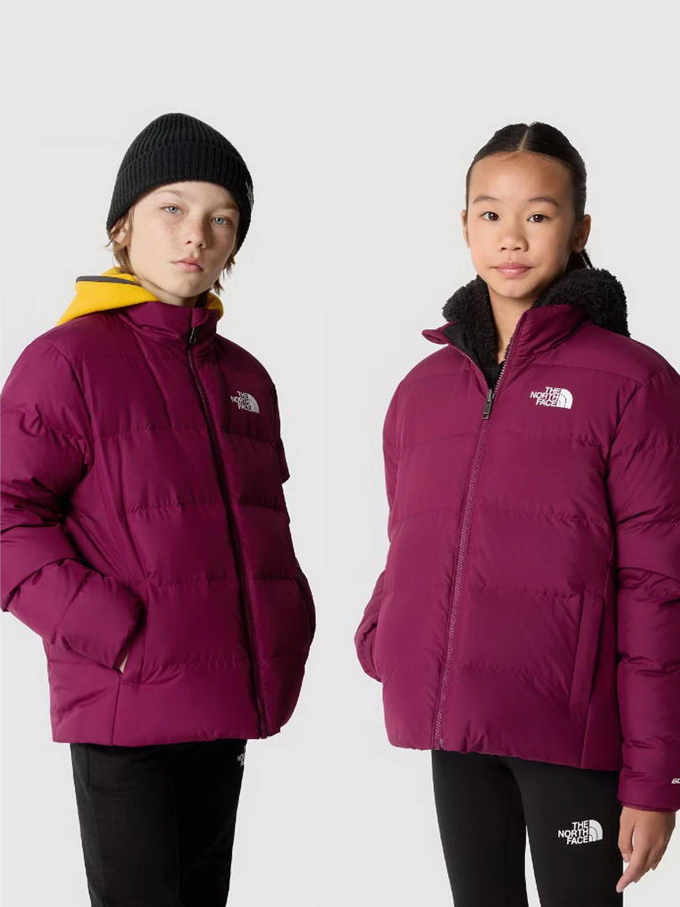 Куртки та дублянки The North Face REVERSIBLE NORTH DOWN модель NF0A82YUI0H1 Фото