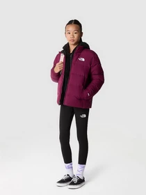 Куртки та дублянки The North Face REVERSIBLE NORTH DOWN модель NF0A82YUI0H1 Фото