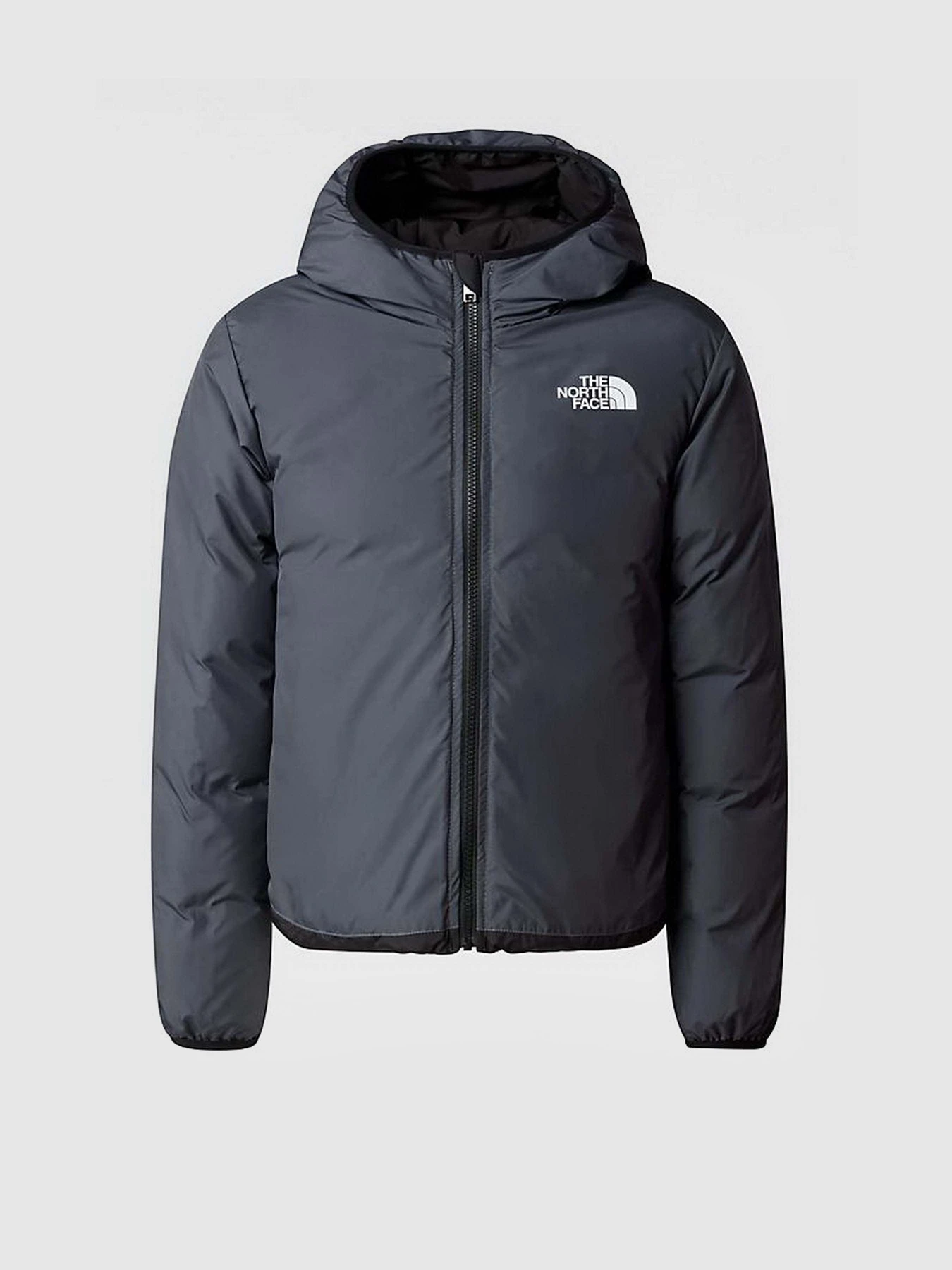 Куртки та дублянки The North Face REVERSIBLE NORTH модель NF0A84N6JK31 Фото