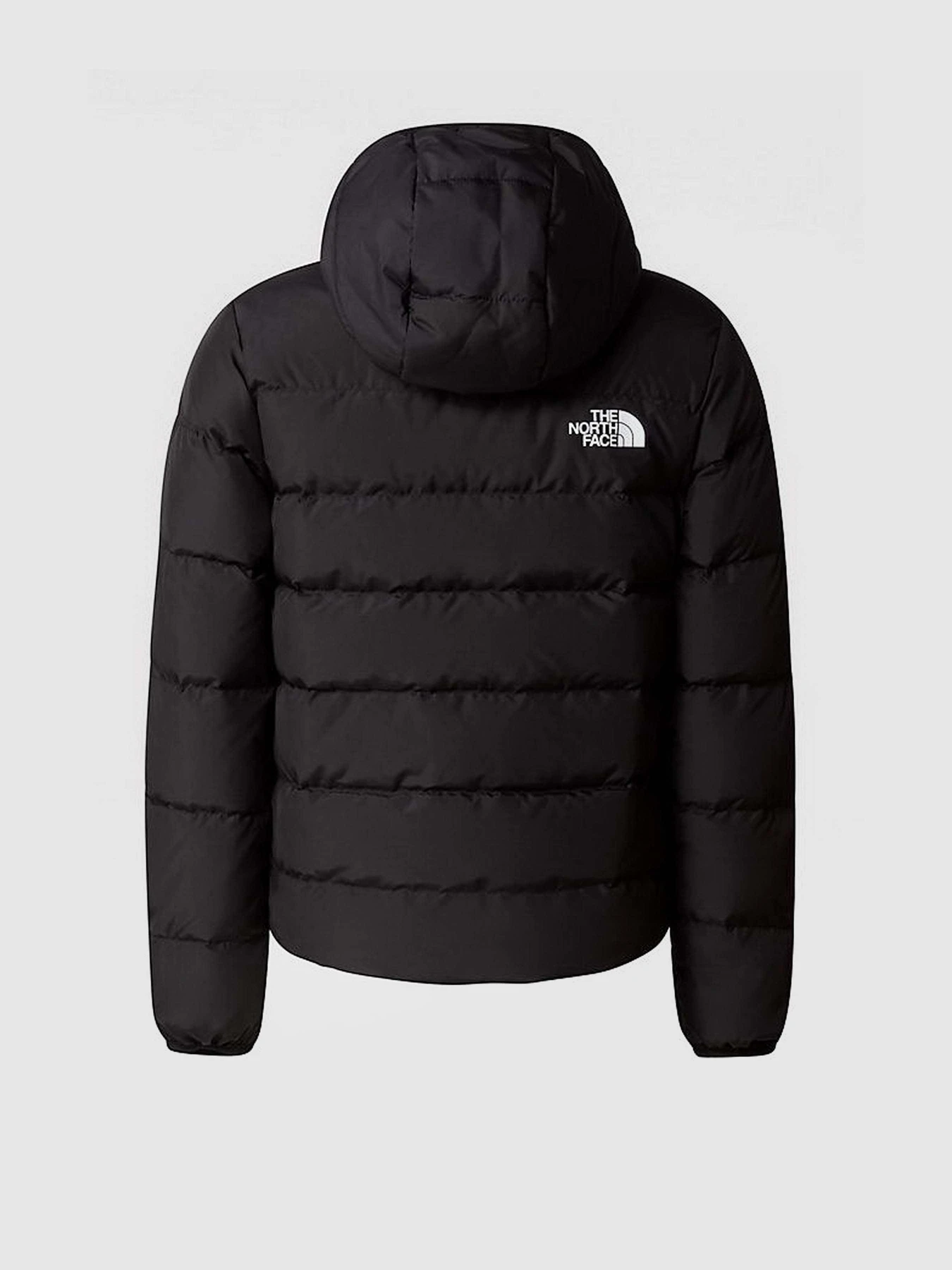 Куртки та дублянки The North Face REVERSIBLE NORTH модель NF0A84N6JK31 Фото