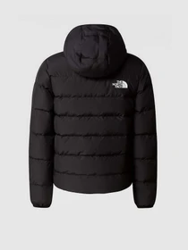 Куртки та дублянки The North Face REVERSIBLE NORTH модель NF0A84N6JK31 Фото