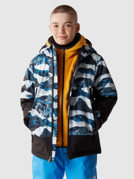Куртки и дубленки The North Face Freedom Insulated модель NF0A82XQO3Q1 Фото