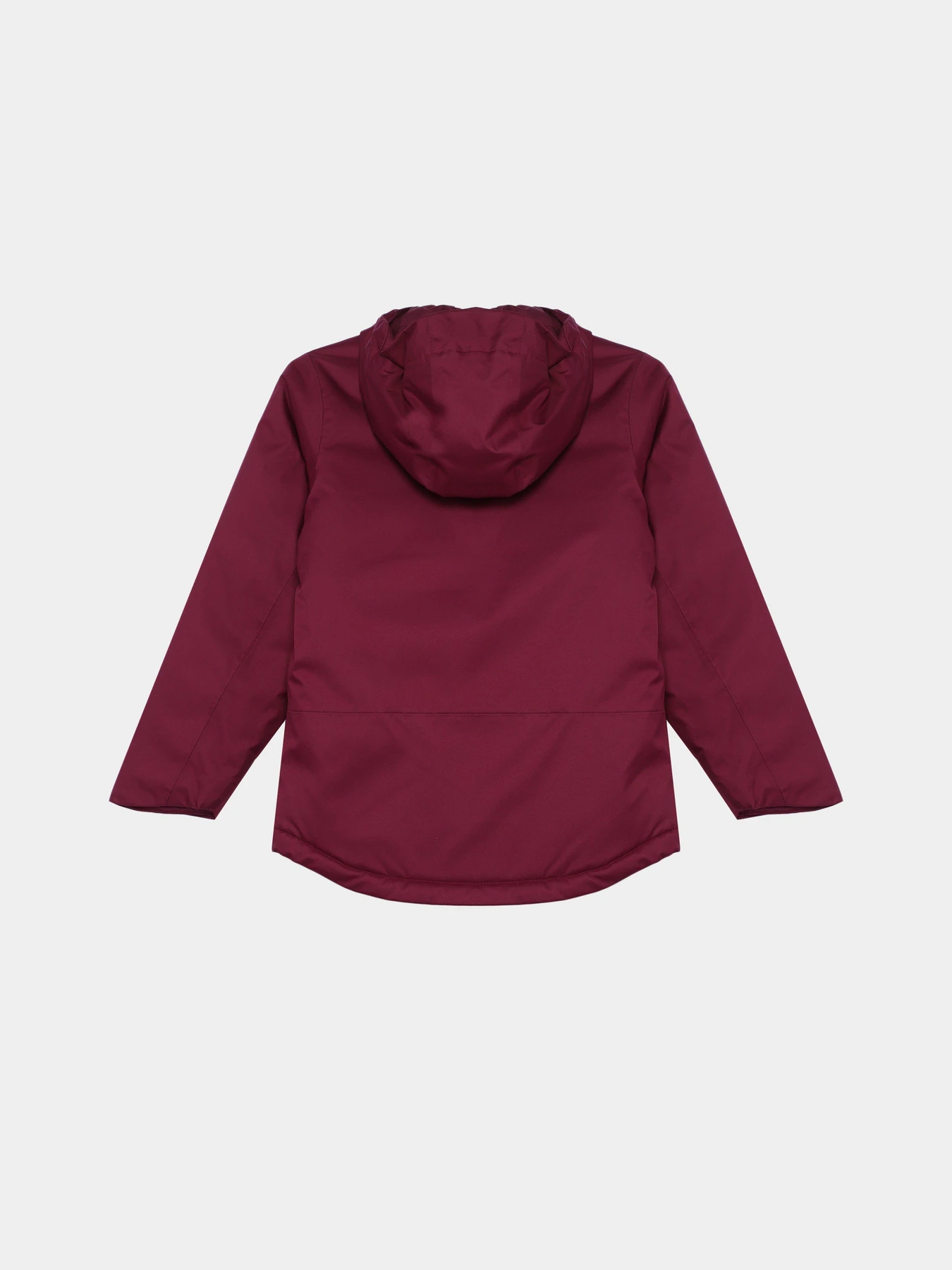 Куртки та дублянки The North Face Freedom Insulated модель NF0A82Y6I0H1 Куртки та дублянки The North Face Freedom Insulated модель NF0A82Y6I0H1 Фото