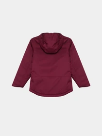 Куртки та дублянки The North Face Freedom Insulated модель NF0A82Y6I0H1 Фото