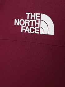 Куртки та дублянки The North Face Freedom Insulated модель NF0A82Y6I0H1 Фото