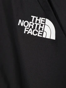 Худи и свитшоты The North Face Teen Athletics модель NF0A82E3JK31 Фото