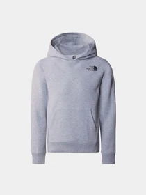 Худи и свитшоты The North Face Teen New Graphic Hoodie модель NF0A877VDYX1 Фото