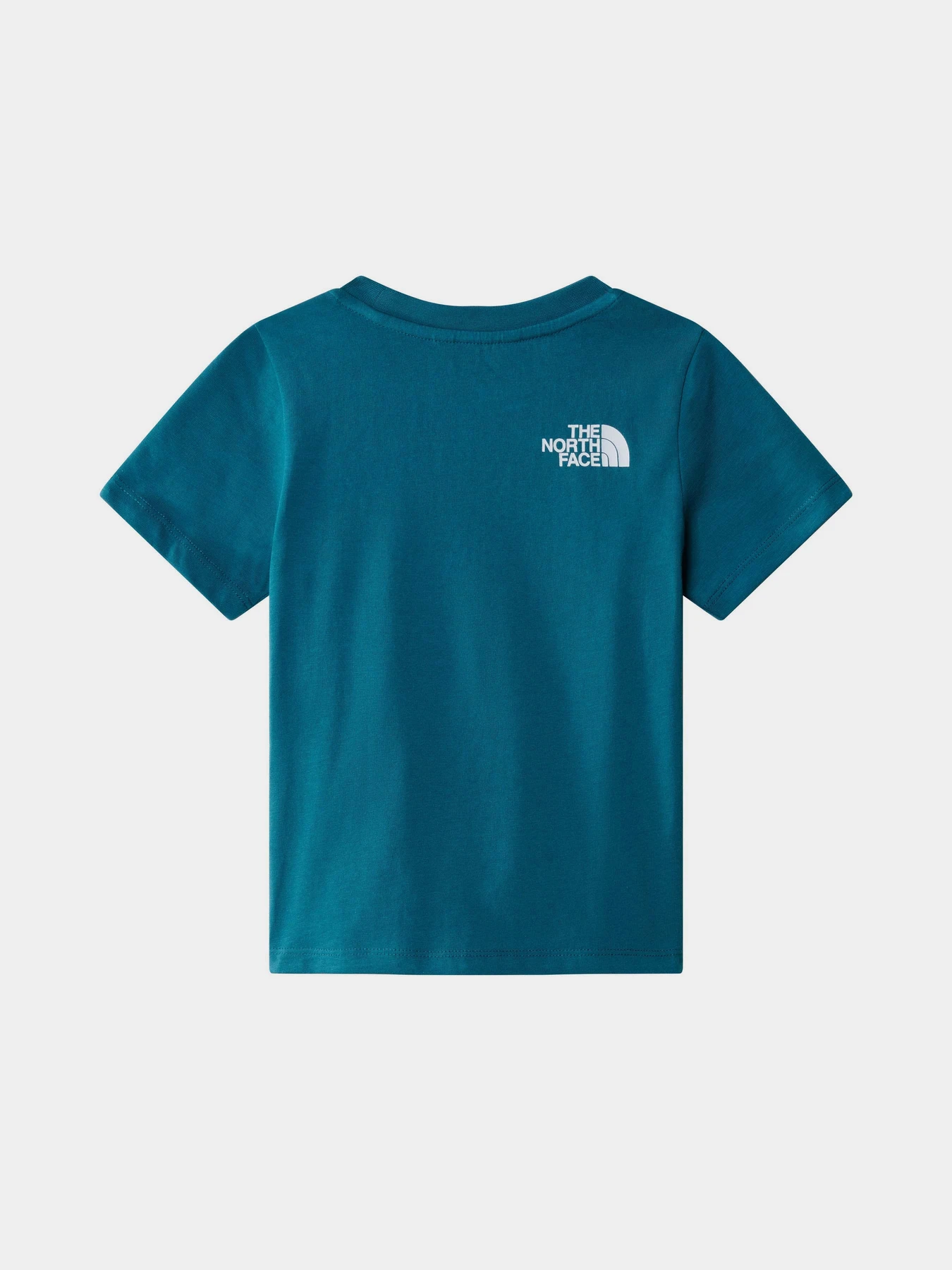 Футболки і поло The North Face Outdoor Graphic модель NF0A8784YBI1 Футболки і поло The North Face Outdoor Graphic модель NF0A8784YBI1 Фото