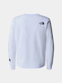 Худи и свитшоты The North Face New Graphic модель NF0A87BBFN41 Фото