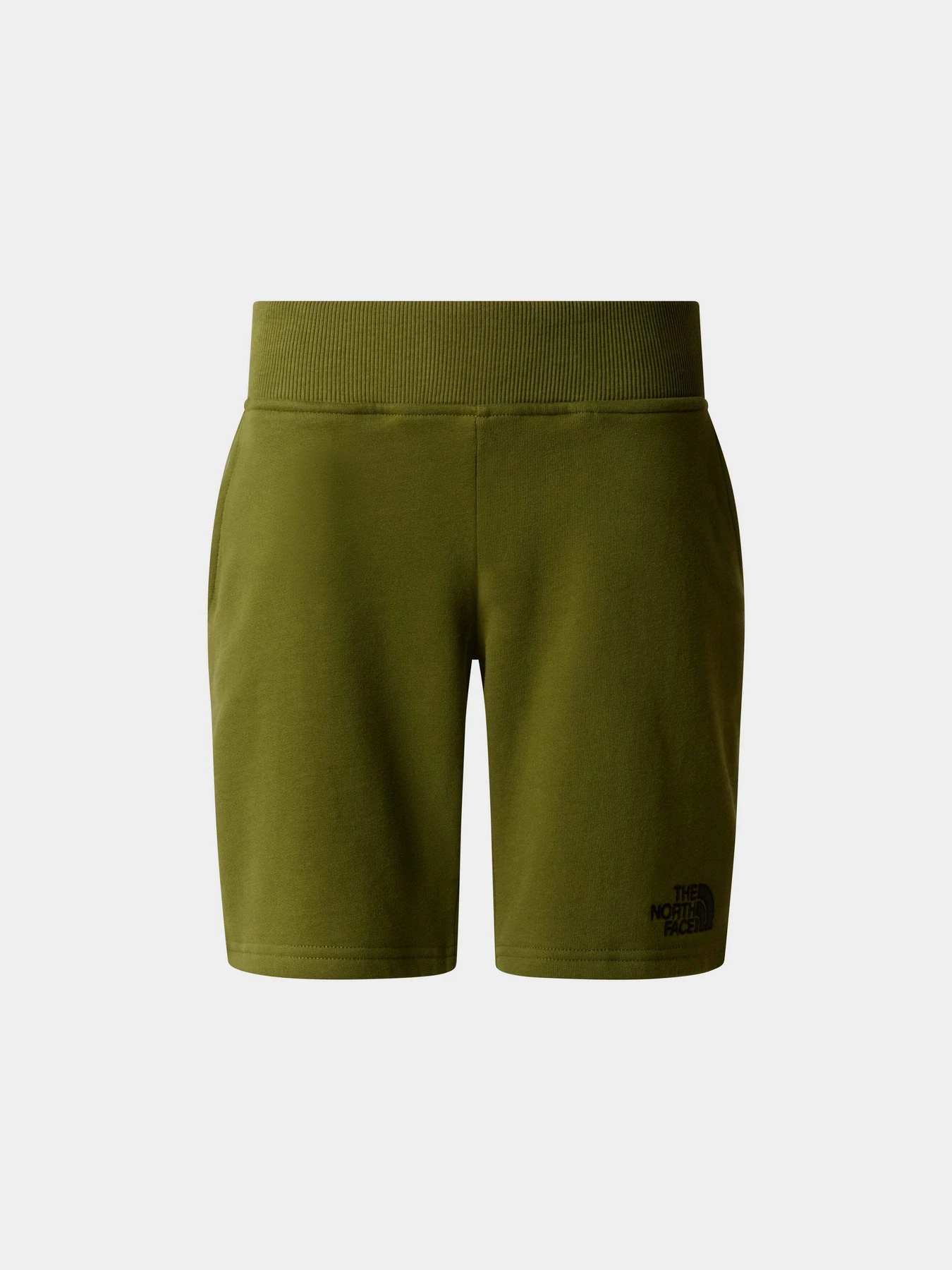 Шорты The North Face Cotton Shorts модель NF0A89P0PIB1 Шорты The North Face Cotton Shorts модель NF0A89P0PIB1 Фото
