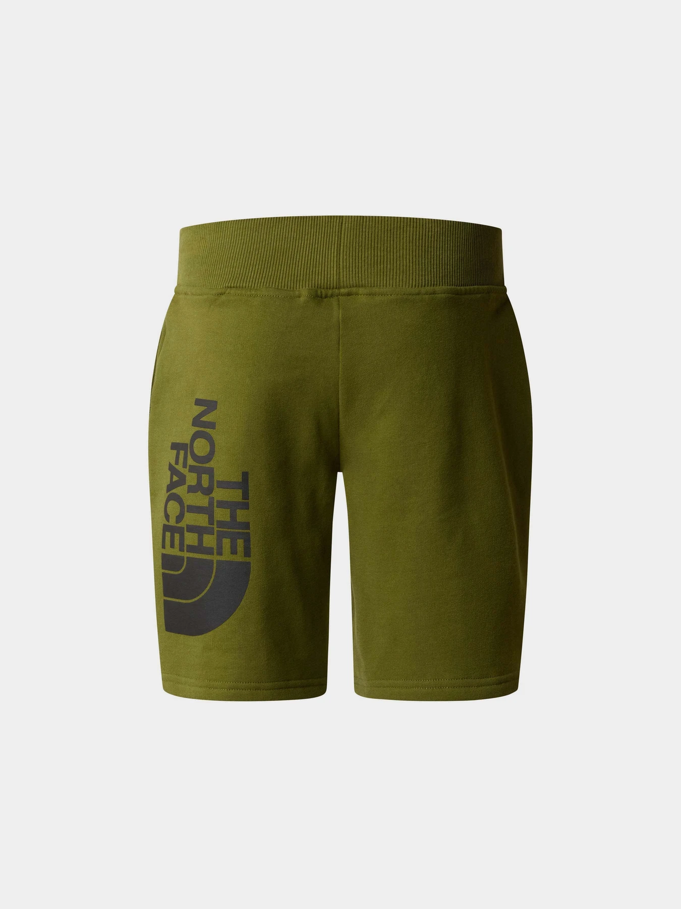 Шорты The North Face Cotton Shorts модель NF0A89P0PIB1 Шорты The North Face Cotton Shorts модель NF0A89P0PIB1 Фото