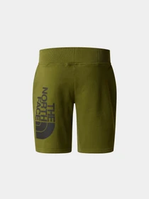 Шорты The North Face Cotton Shorts модель NF0A89P0PIB1 Фото