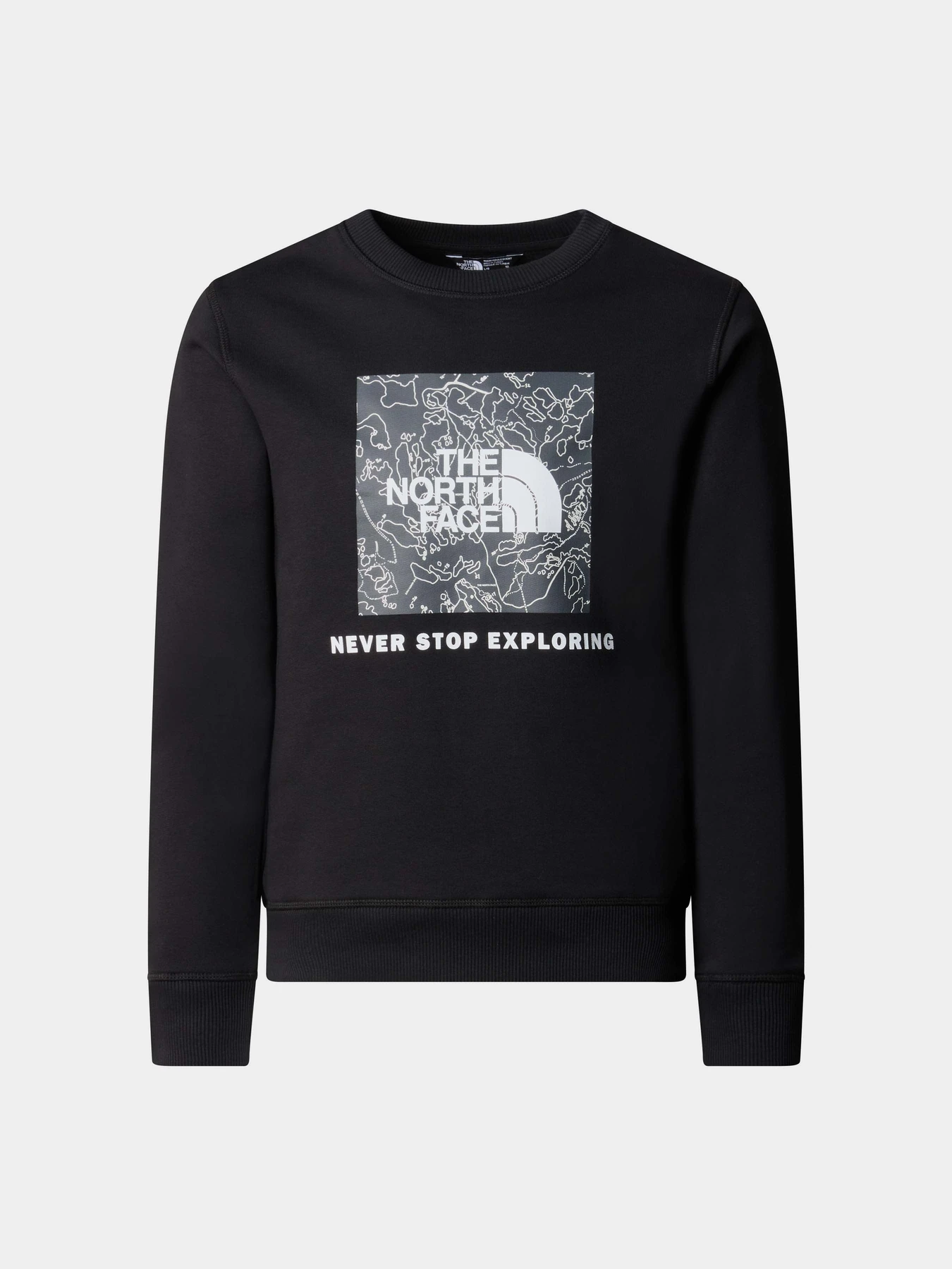 Худі та світшоти The North Face Redbox Crew модель NF0A89PCYCO1 Фото