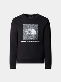 Худі та світшоти The North Face Redbox Crew модель NF0A89PCYCO1 Фото