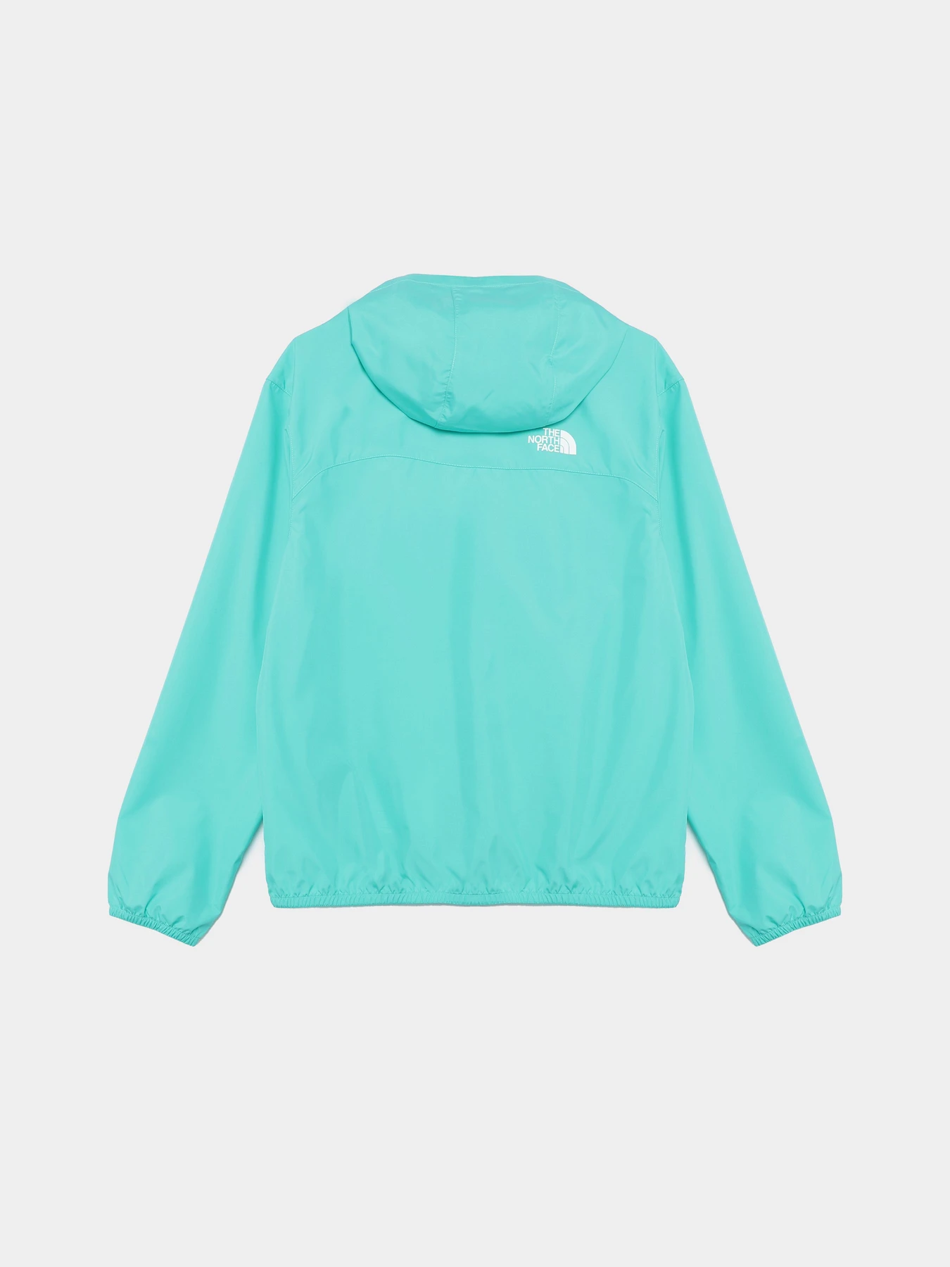 Куртки та дублянки The North Face Never Stop модель NF0A86TQPIN1 Фото