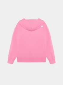 Худи и свитшоты The North Face G Fz Oversize Light Hoodie модель NF0A877QPIH1 Фото