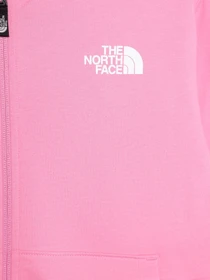 Худи и свитшоты The North Face G Fz Oversize Light Hoodie модель NF0A877QPIH1 Фото