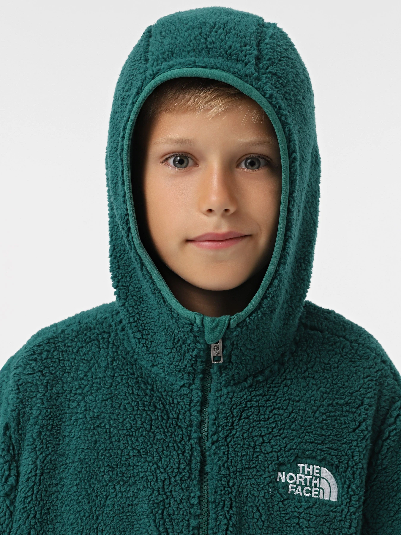 Худи и свитшоты The North Face Campshire модель NF0A89KBNL11 Худи и свитшоты The North Face Campshire модель NF0A89KBNL11 Фото