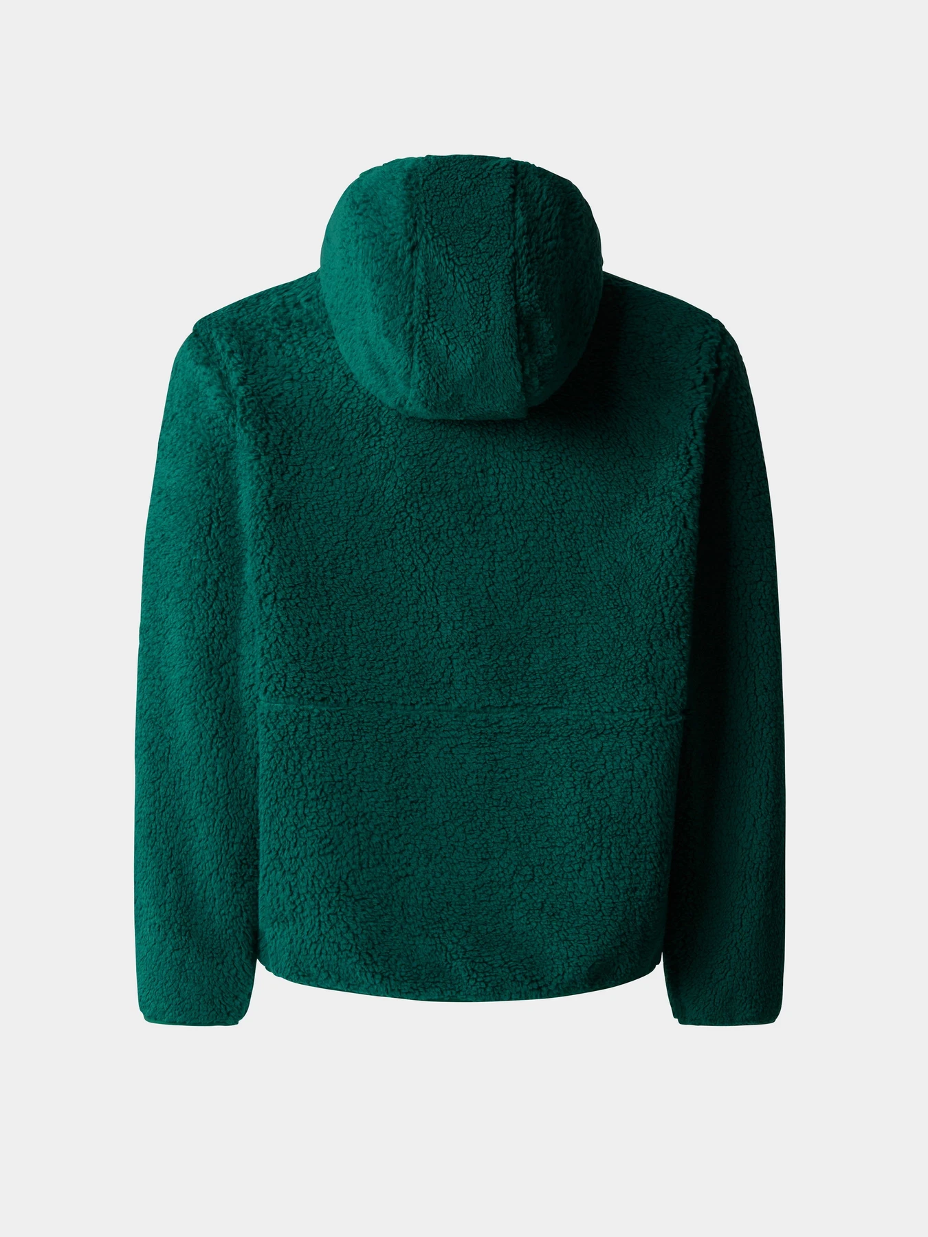 Худи и свитшоты The North Face Campshire модель NF0A89KBNL11 Худи и свитшоты The North Face Campshire модель NF0A89KBNL11 Фото