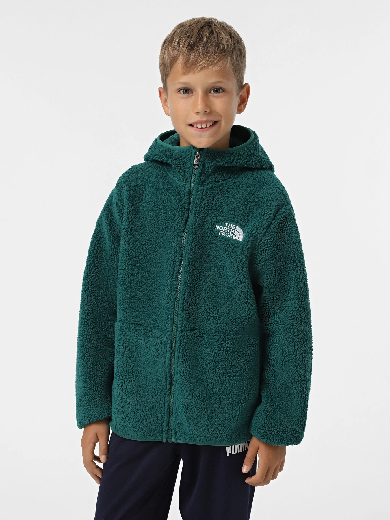 Худи и свитшоты The North Face Campshire модель NF0A89KBNL11 Худи и свитшоты The North Face Campshire модель NF0A89KBNL11 Фото