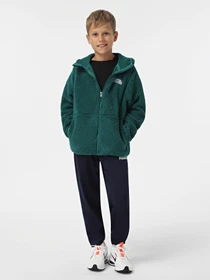 Худи и свитшоты The North Face Campshire модель NF0A89KBNL11 Фото