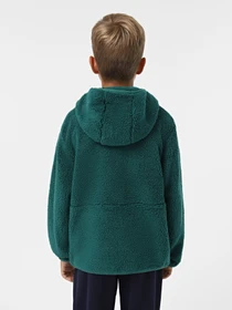 Худи и свитшоты The North Face Campshire модель NF0A89KBNL11 Фото