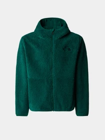 Худи и свитшоты The North Face Campshire модель NF0A89KBNL11 Фото