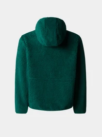 Худи и свитшоты The North Face Campshire модель NF0A89KBNL11 Фото