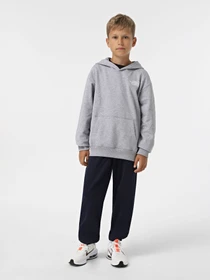 Худі та світшоти The North Face Teen Essential модель NF0A89HADYX1 Фото