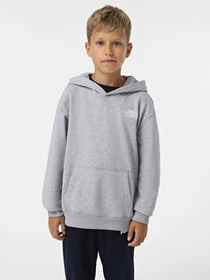 Худі та світшоти The North Face Teen Essential модель NF0A89HADYX1 Фото